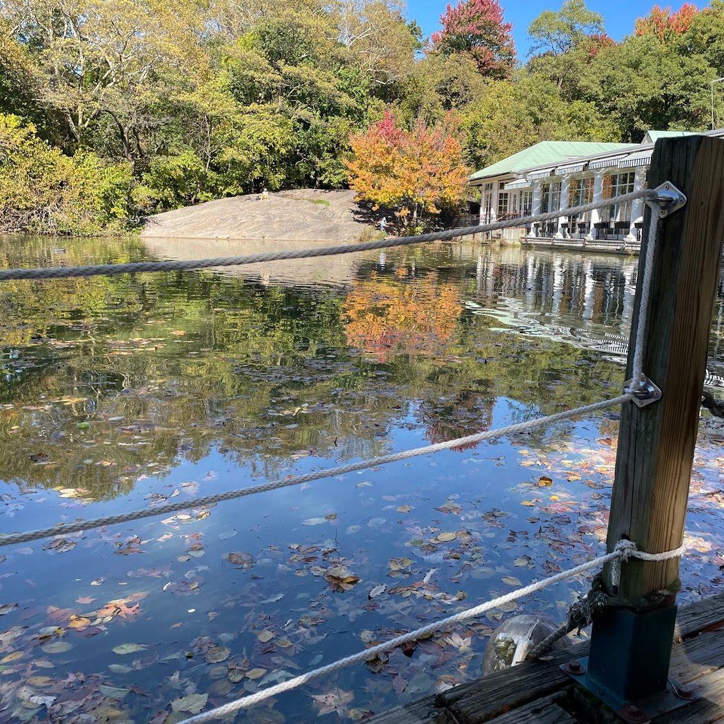 Drinking Water Fountain (Boathouse) 1