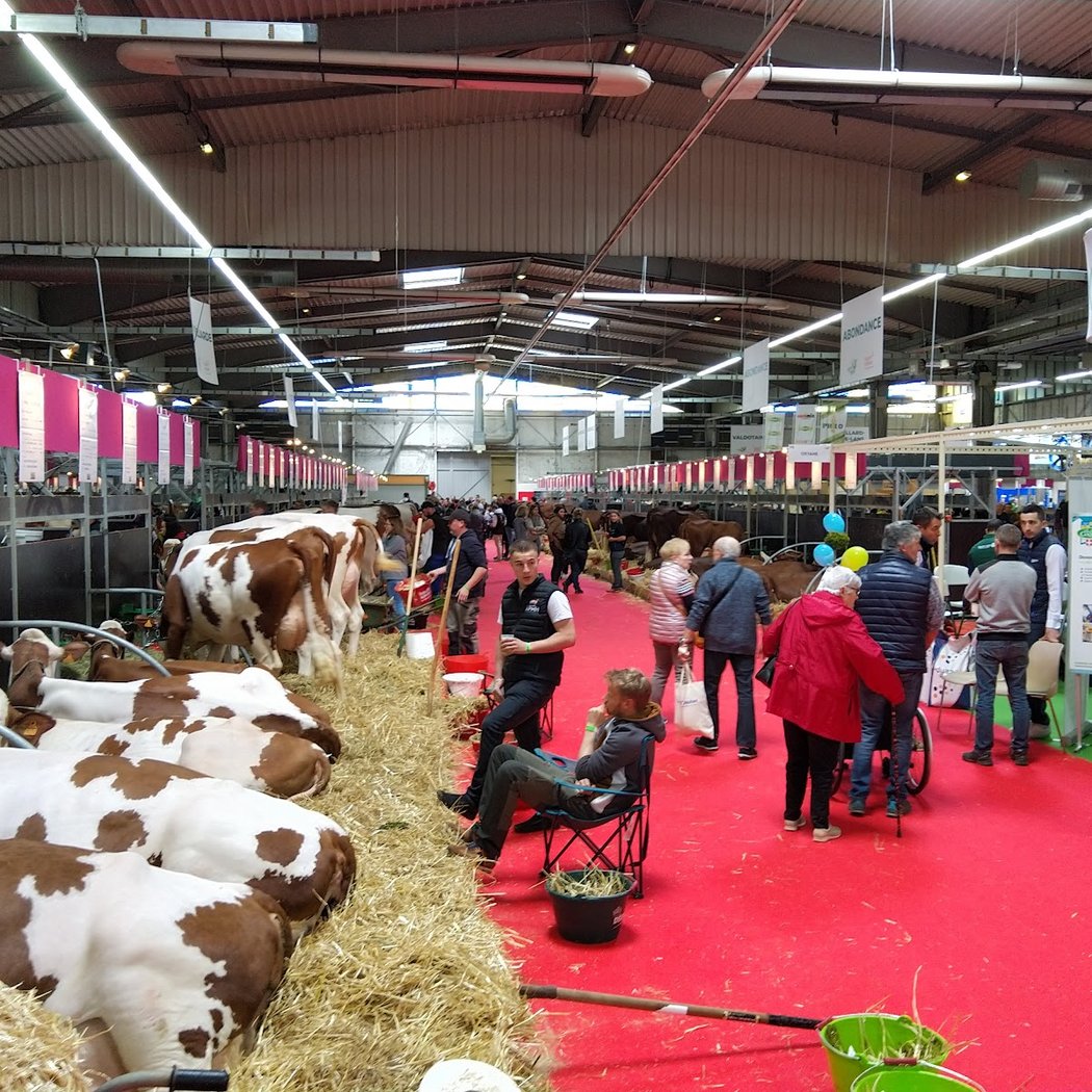 Rochexpo 3