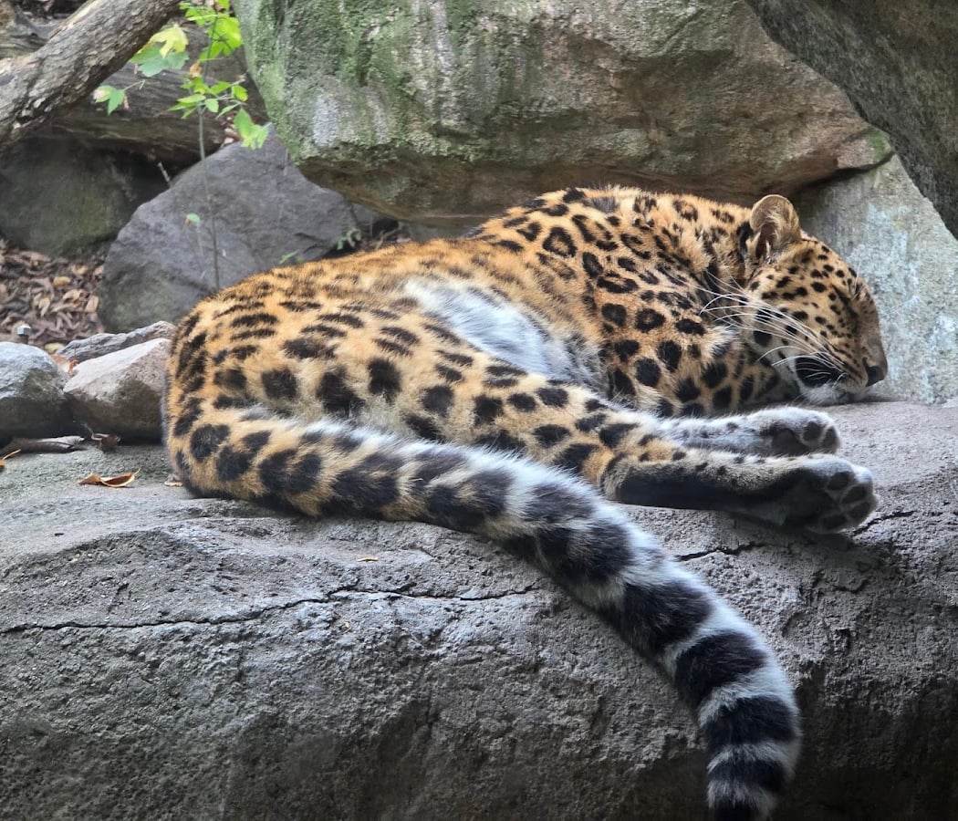 Minnesota Zoo 1