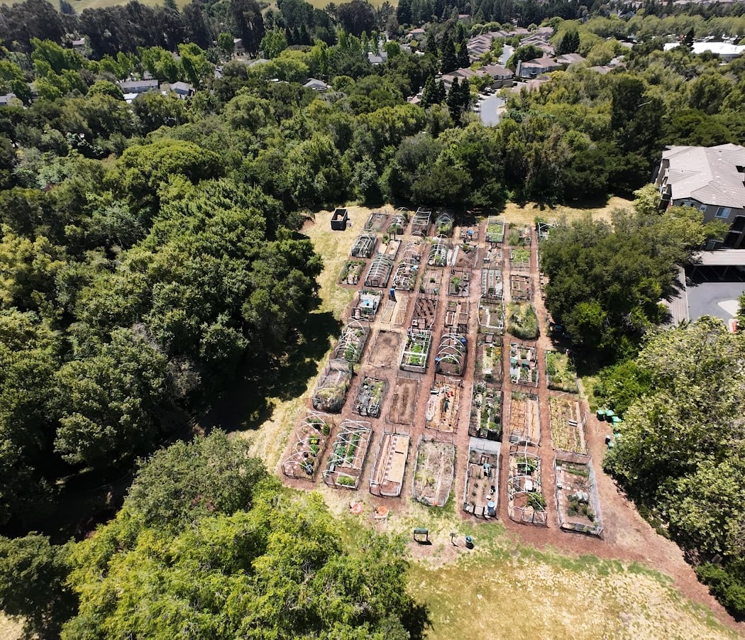 Crow Canyon Gardens 3