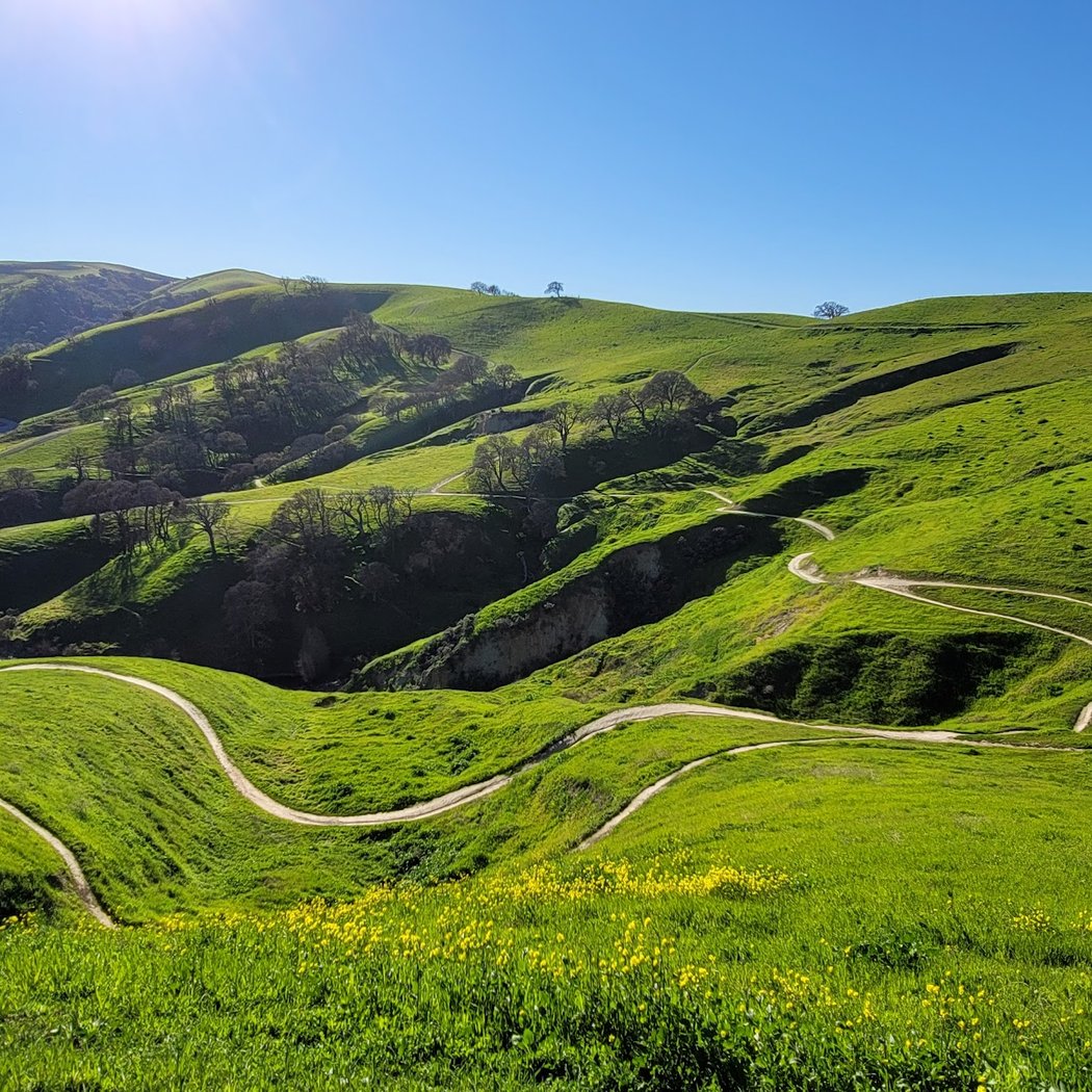 Del Valle Arroyo Road Staging Area (EBRPD) 3