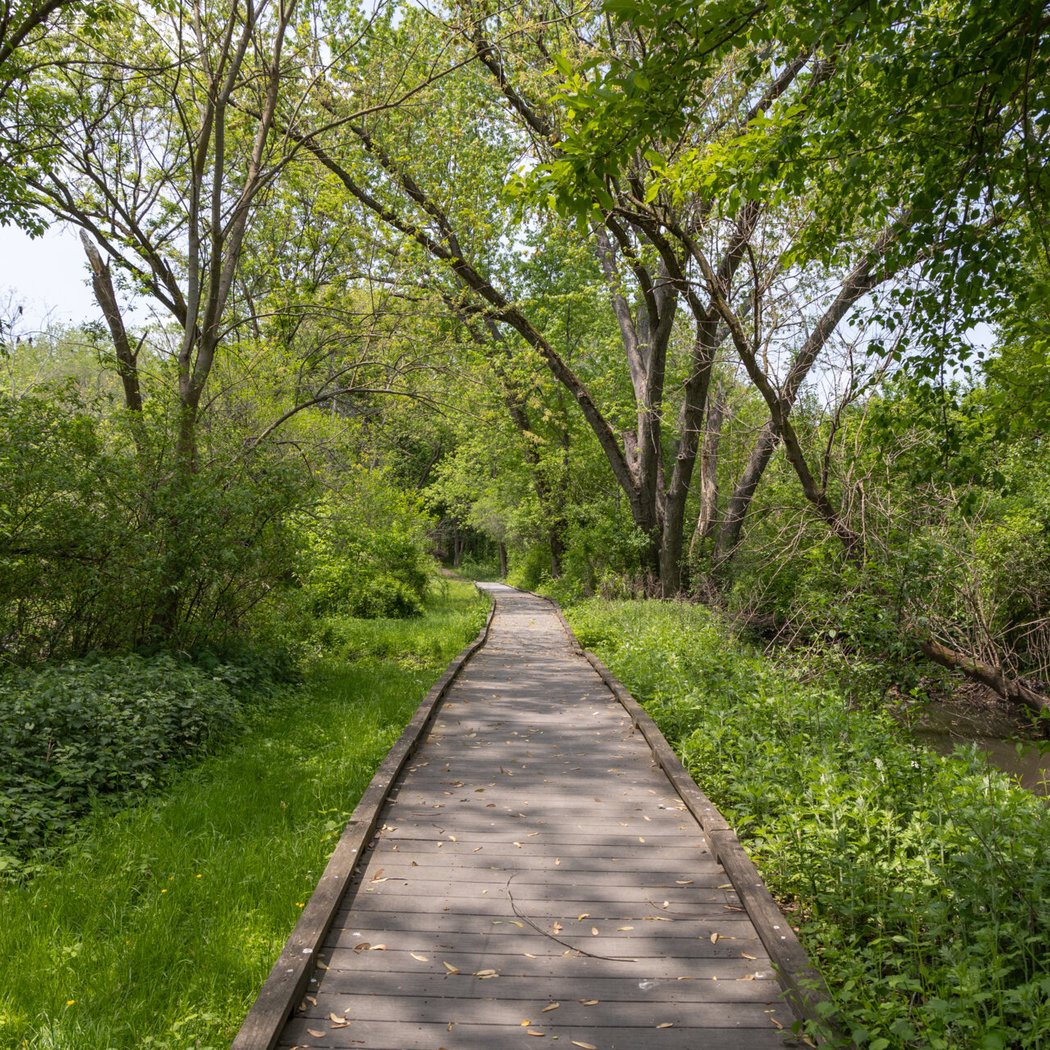 Mass Audubon's Boston Nature Center and Wildlife Sanctuary 2