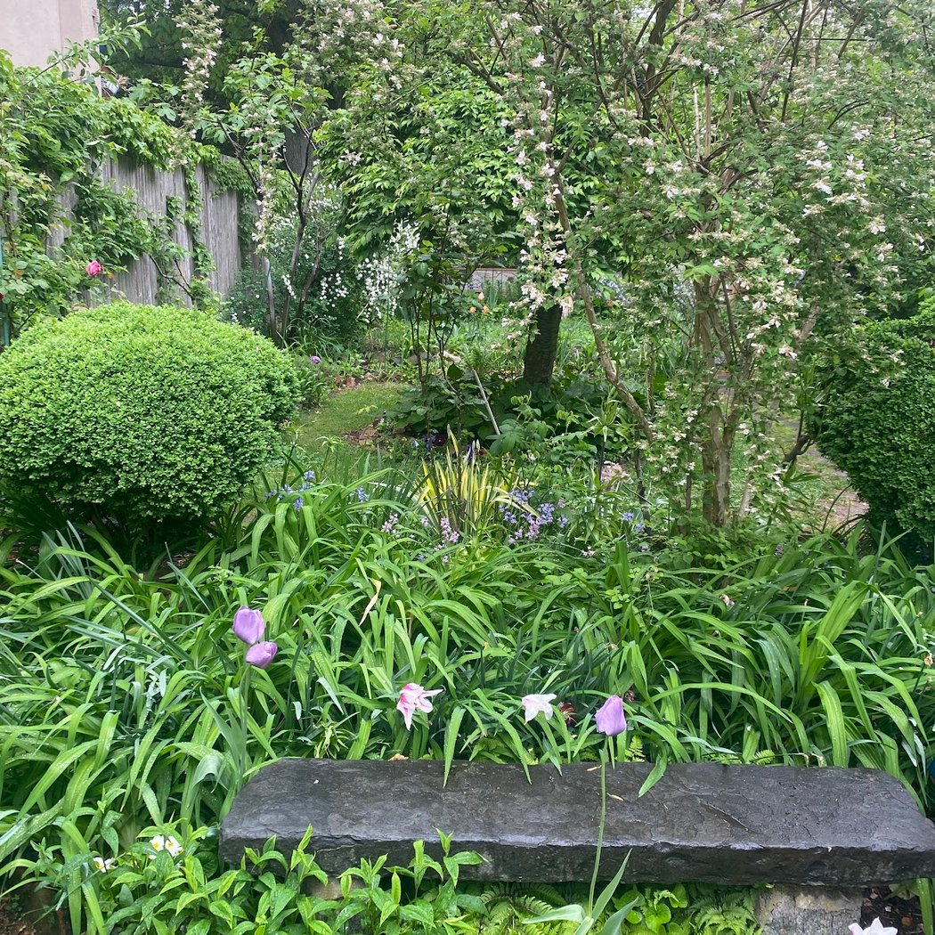 The Secret Garden Brooklyn 1