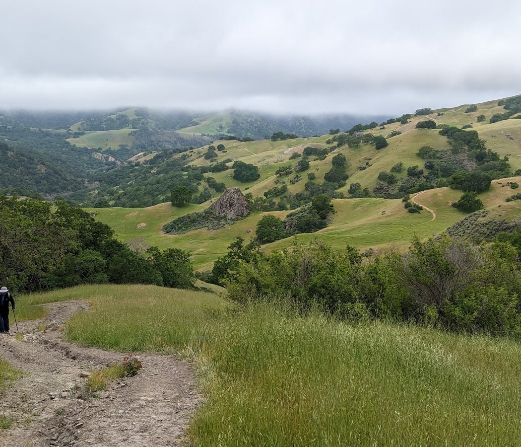 Rose Peak 3