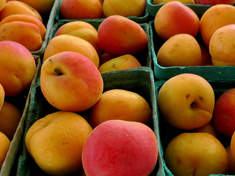 Farmers Market 2