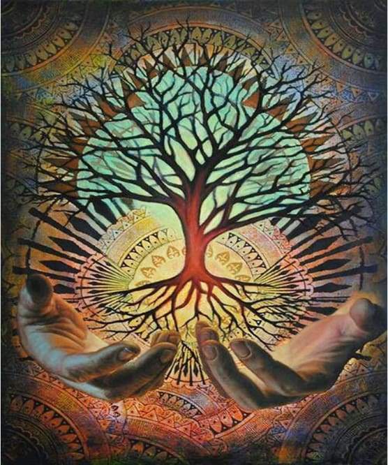 Constellations Familiales & Systémiques 1