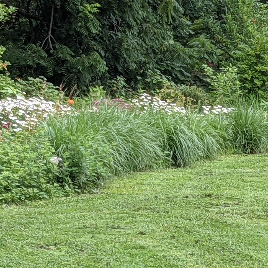 Bronxville Dog Park 3