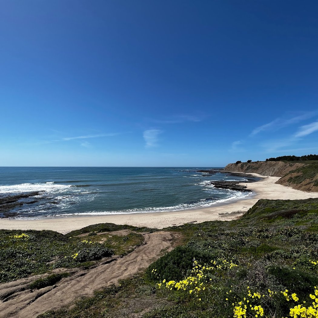 Ross' Cove 1