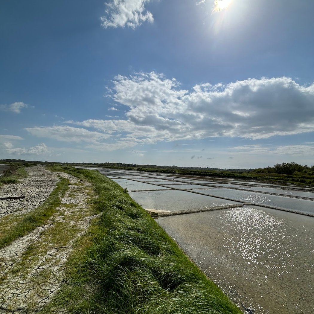 Marais salants du bassin de Mesquer 1