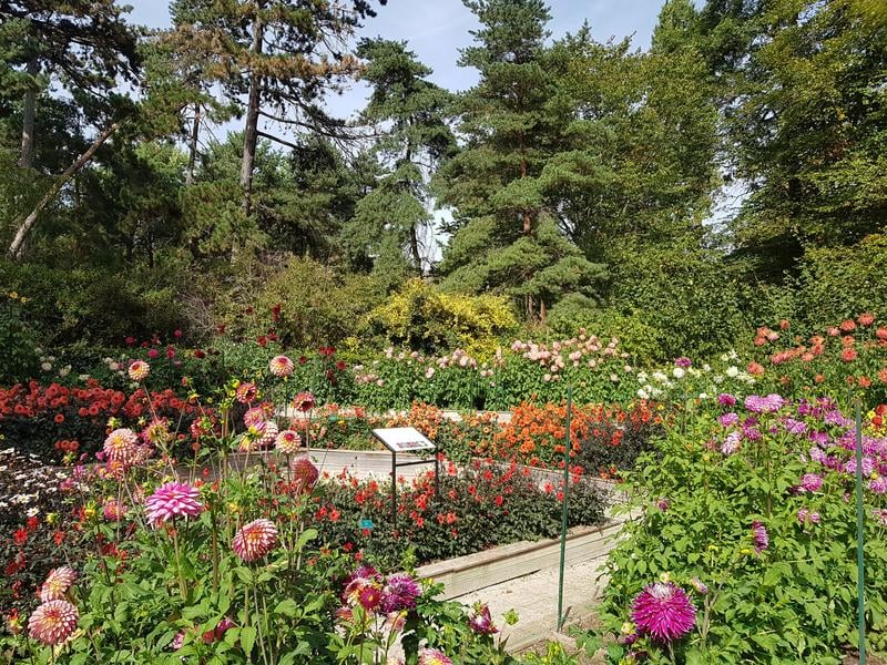 Parc Floral de Paris 2