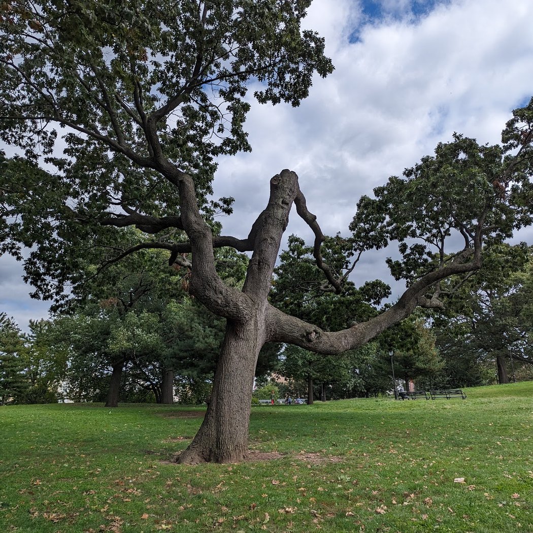 McKinley Park 1