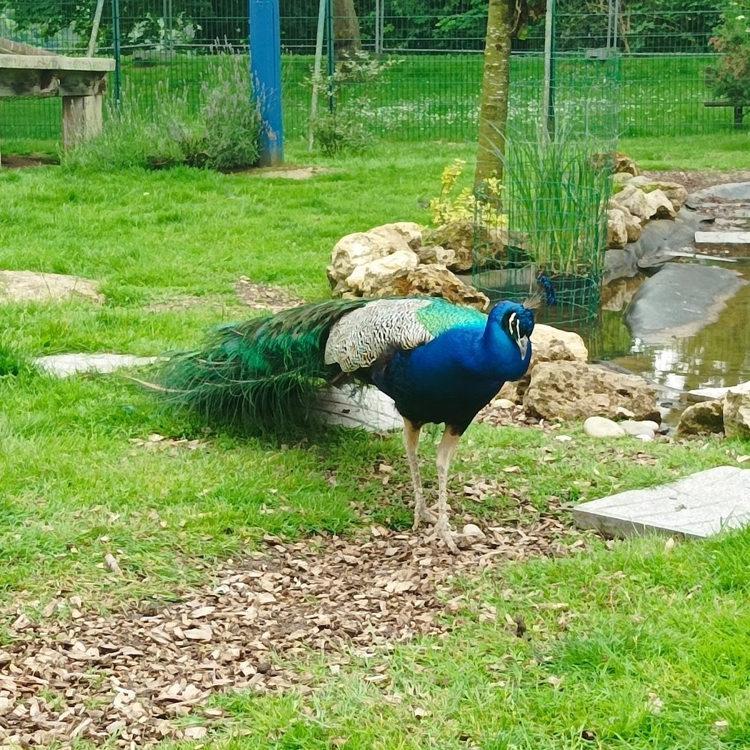 Ferme des Gondoles 1
