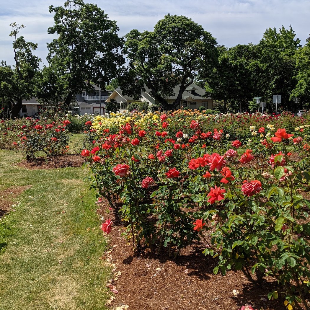Ladd Circle Park & Rose Gardens 2