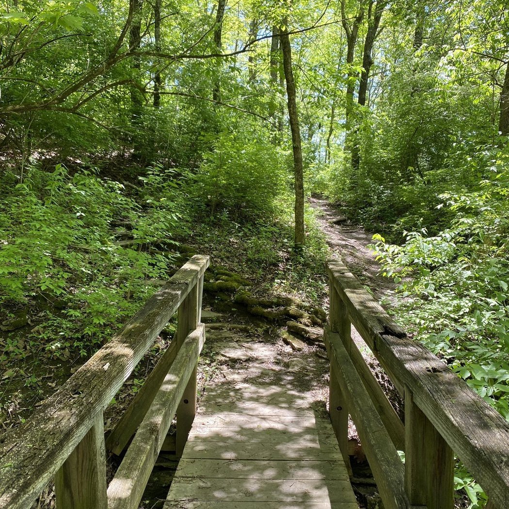 Mt. Airy TrailFest 3