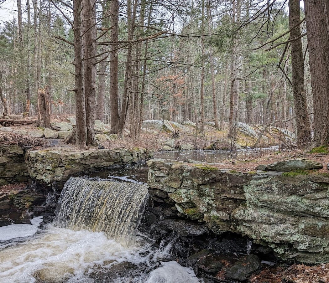 Mass Audubon's Broadmoor Wildlife Sanctuary 3