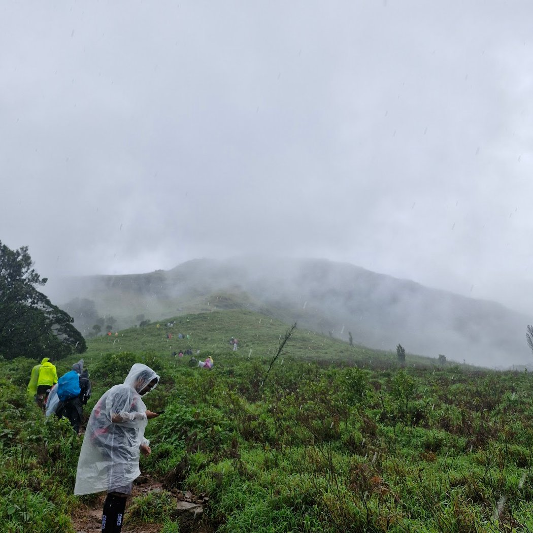 Gangadikallu Gudda Peak Viewpoint 5