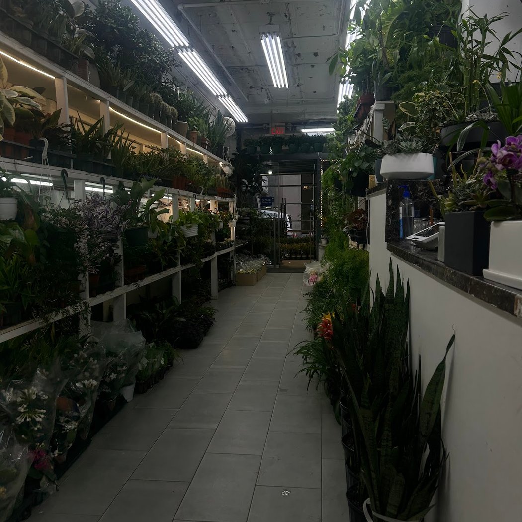 Flower District 3