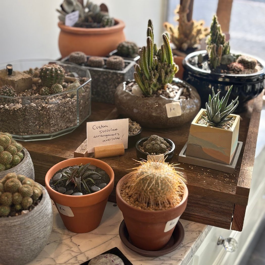 Plant'd LLC 1