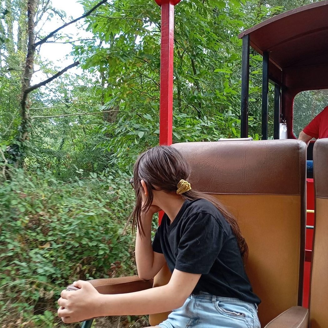 Le Petit Train Touristique de Nantes 3