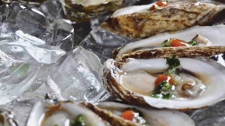 Mother Shuckers 1