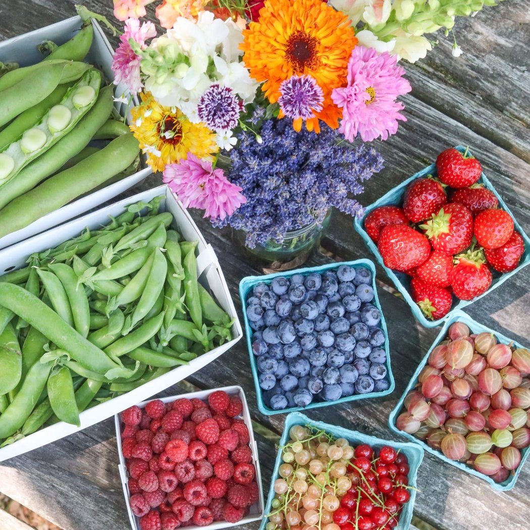 Pick-Your-Own Produce and Flowers at Ward's Berry Farm!