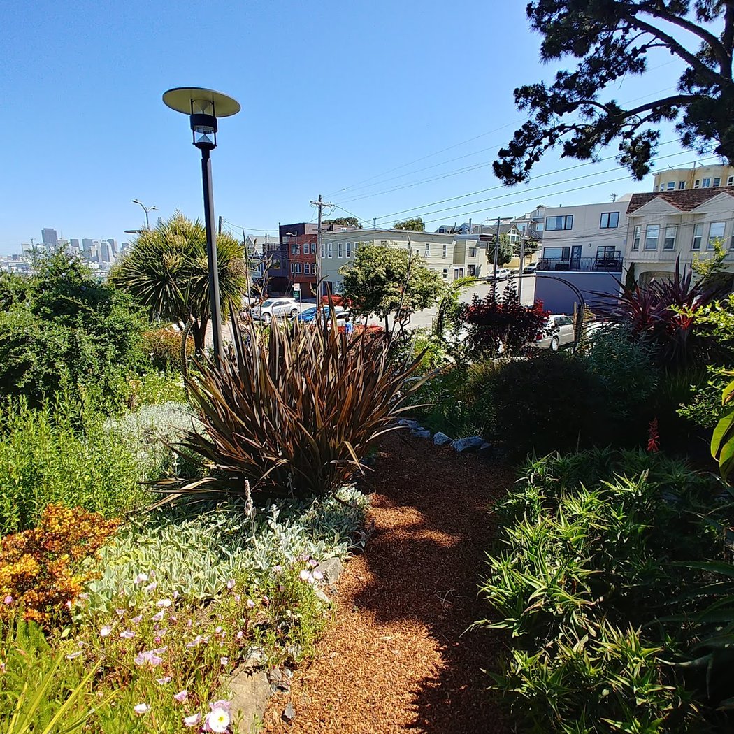 NW Potrero Hill Cleanup - Volunteer Community Service 1