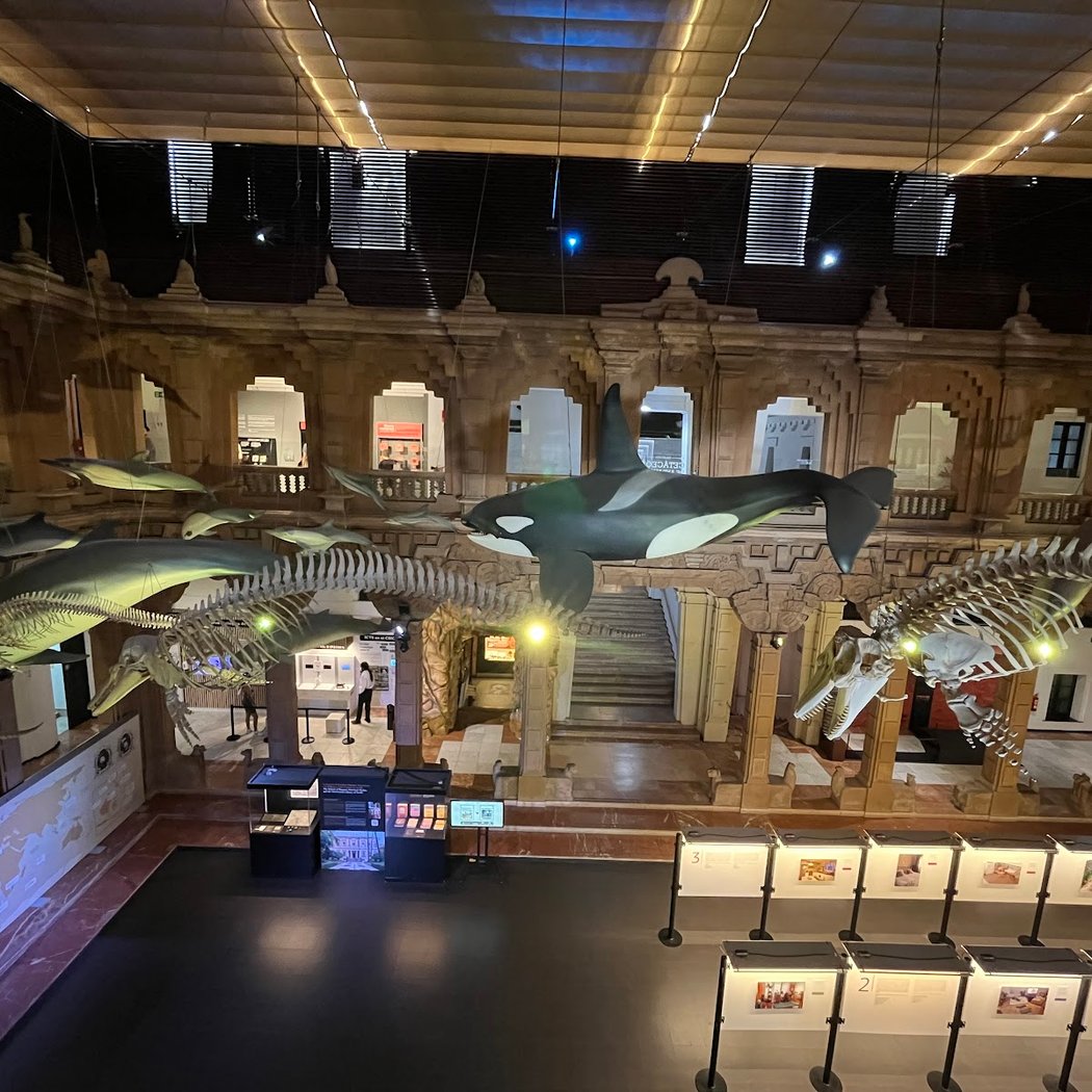 Dinosaurios, una historia de supervivencia 3