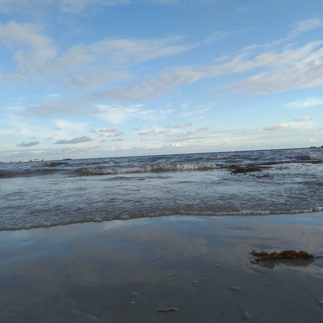 Beach Of Roaliguen 2