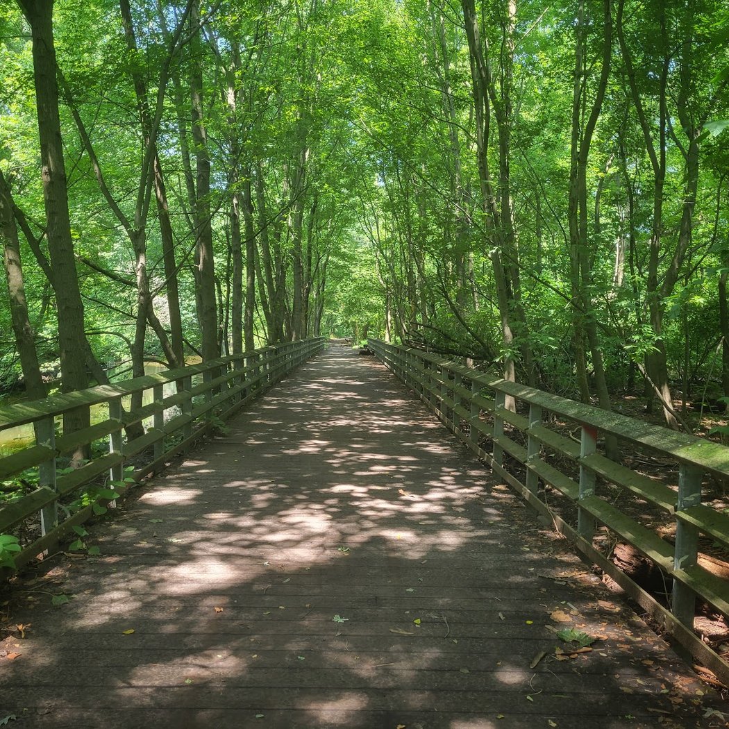 Bronx River Forest 1