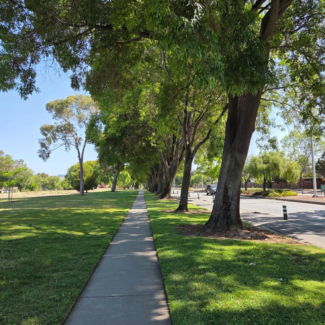 Northgate Community Park 3