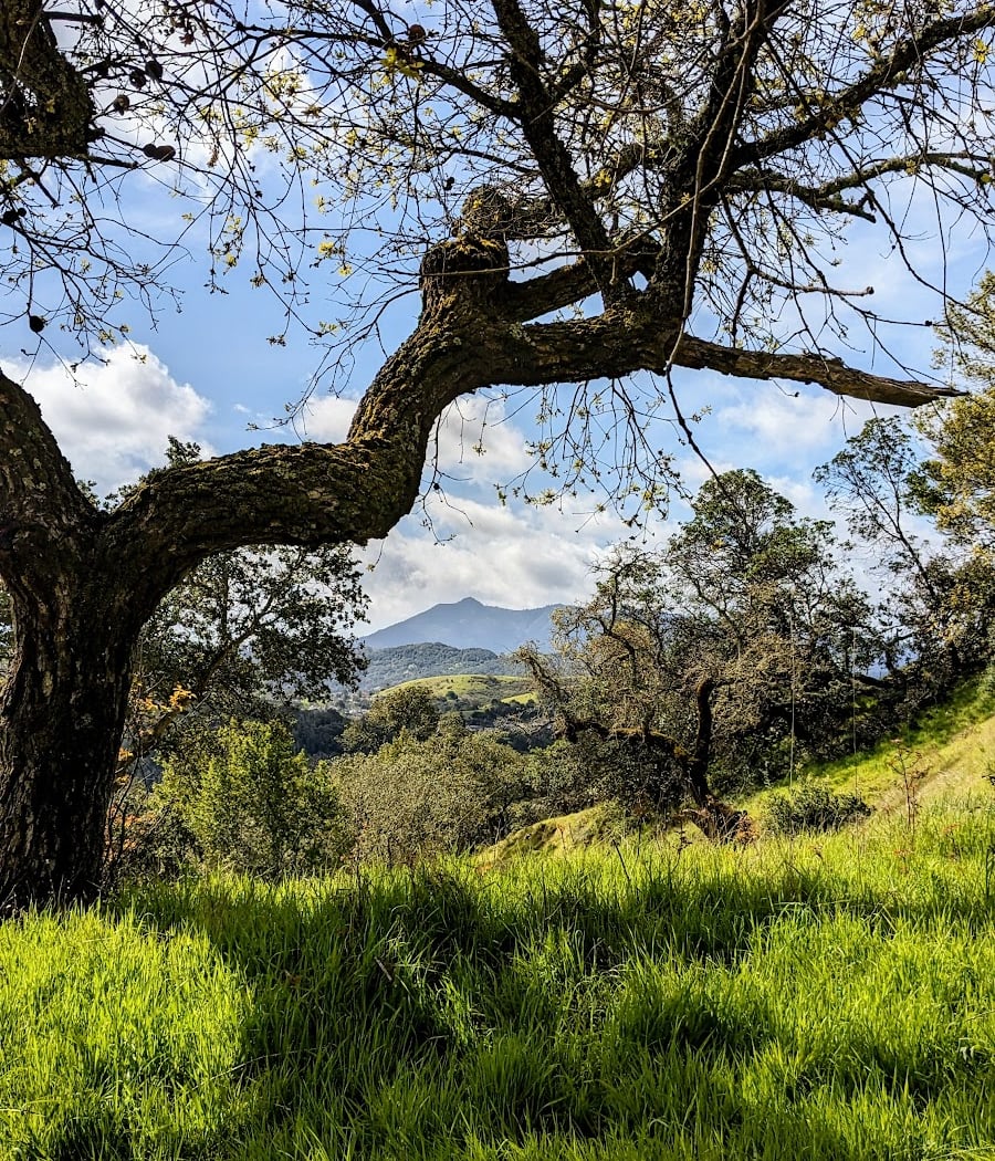 Queenstone Fire Road Trailhead 2