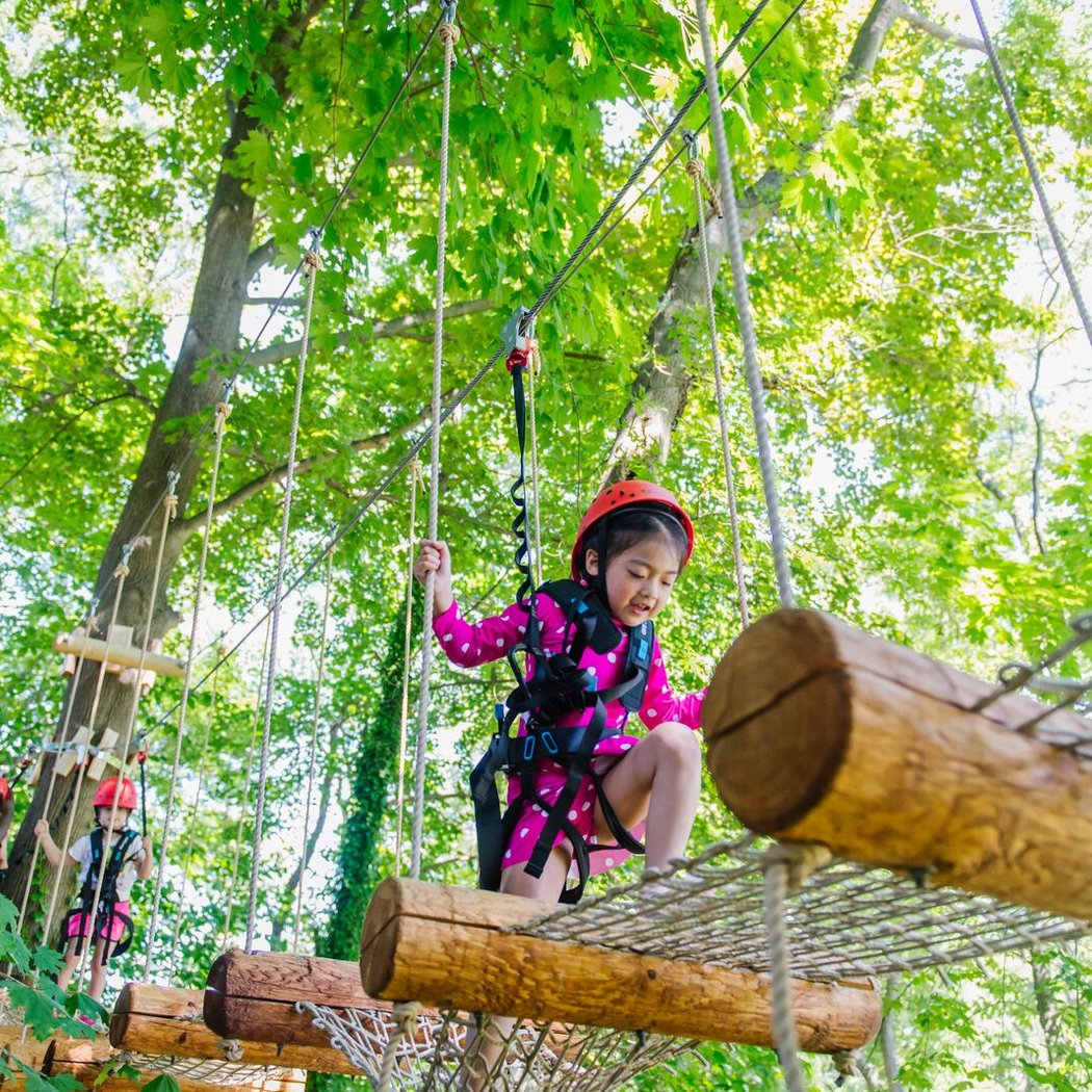 Pierce Country Day Camp 1
