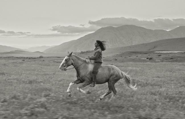 Gaucho Gaucho 1