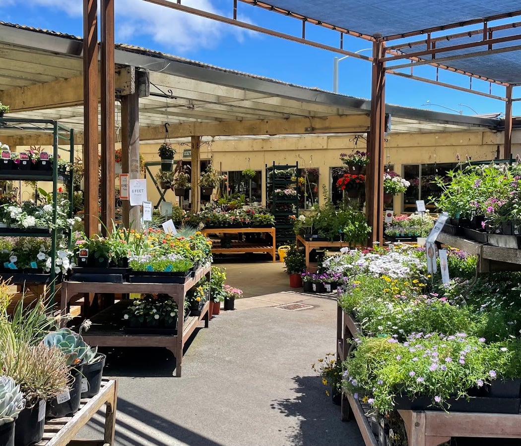 Sloat Garden Center 2