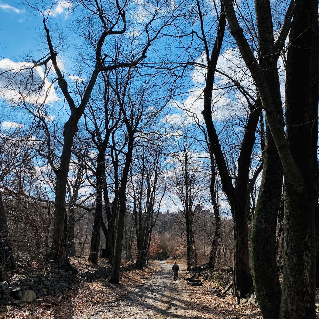 Birding with NYC Bird Alliance 3