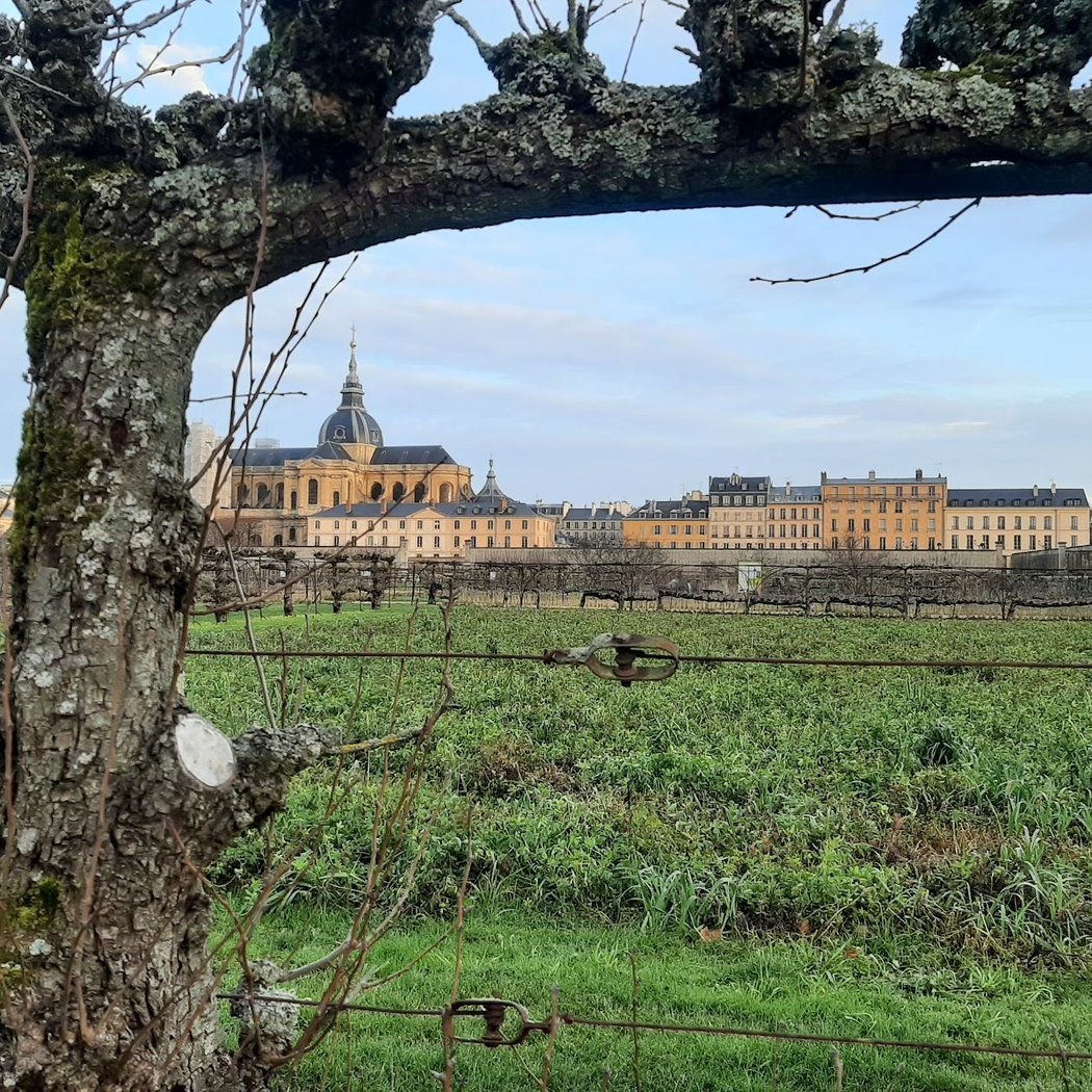 Colloque international "Du jardinage au paysage, de La Quintinie à demain" 3