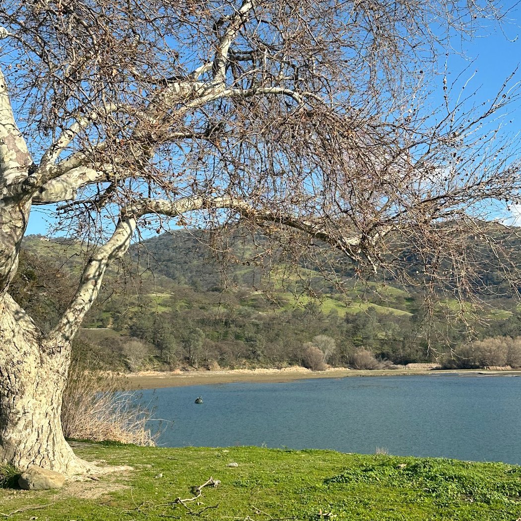 Del Valle West Swim Beach 1