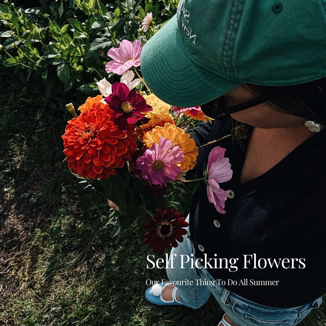 Blumen selber pflücken (self-pick flowers) 1