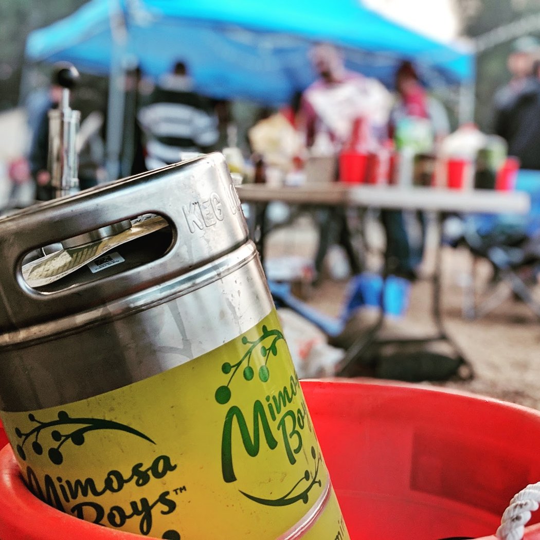 Mimosa Boys 2