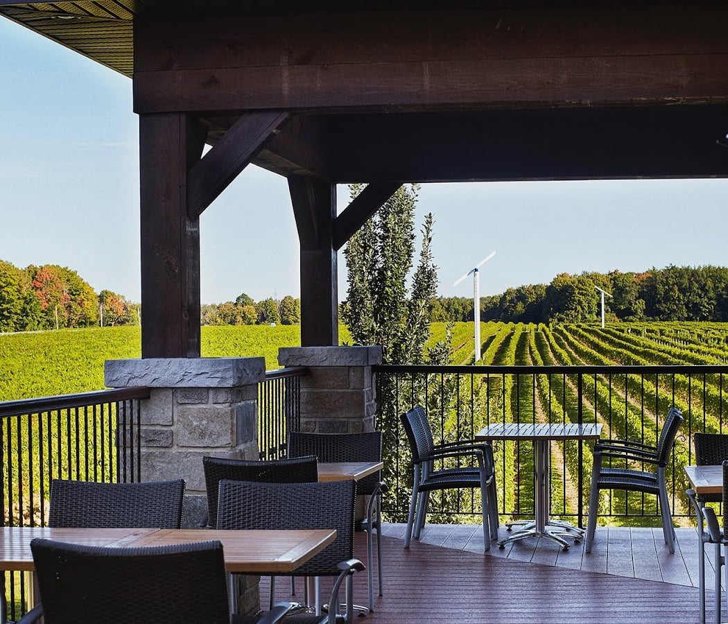 Vignoble Rivière du Chêne 2