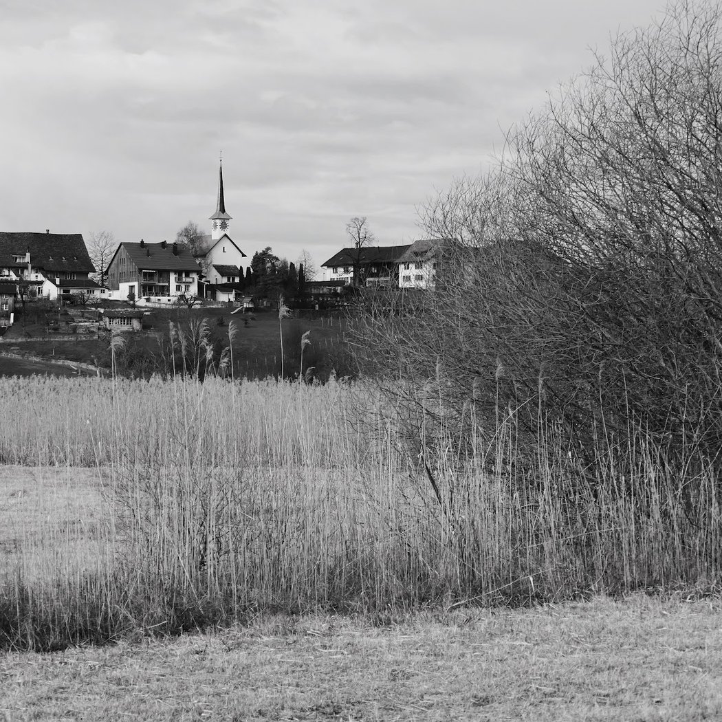 Reformierte Kirche 3