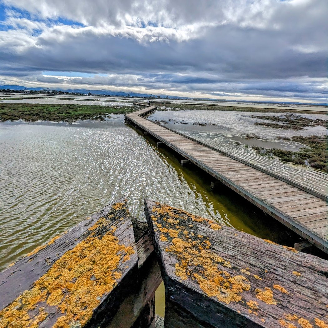 Don Edwards San Francisco Bay National Wildlife Refuge 1