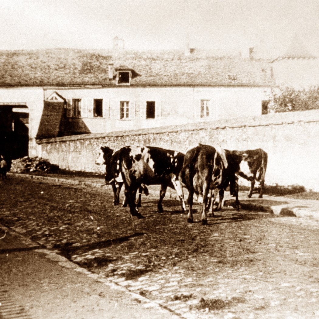 Ferme de Cottinville 2