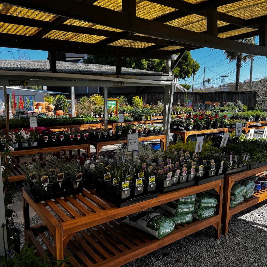 Sloat Garden Center Petaluma 2