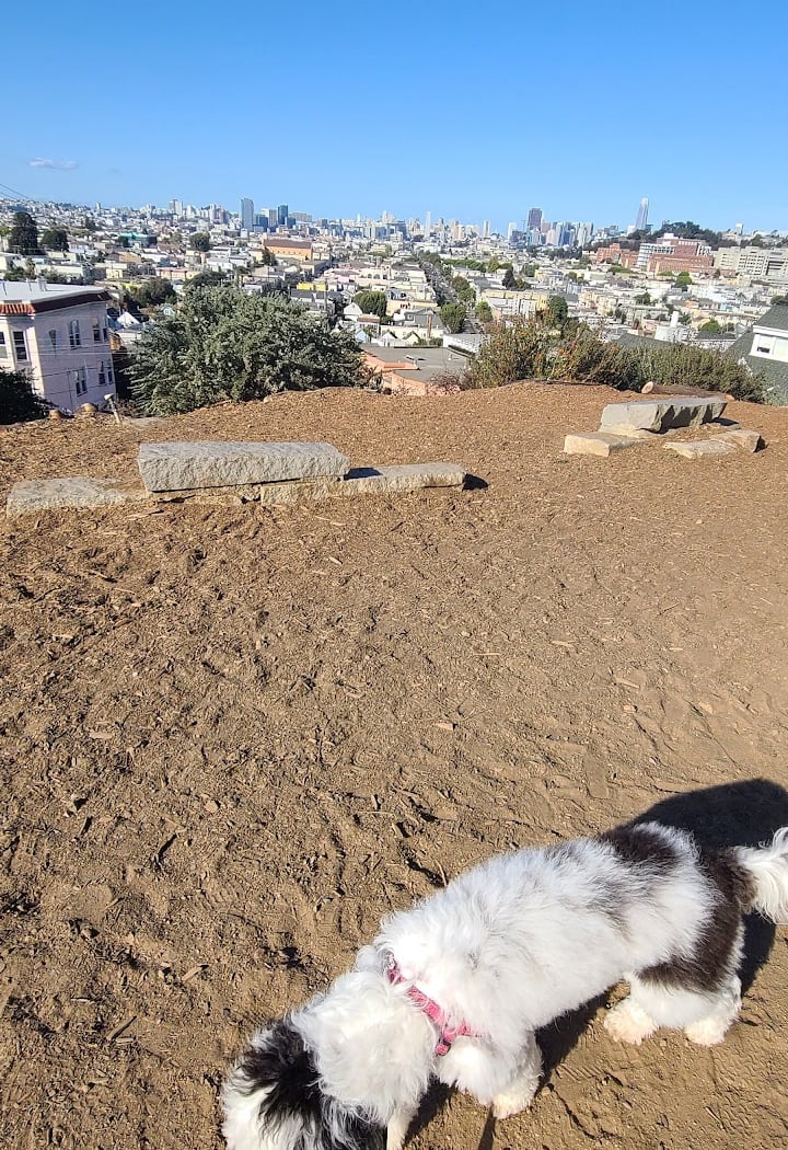 Mullen Peralta Mini Park 2