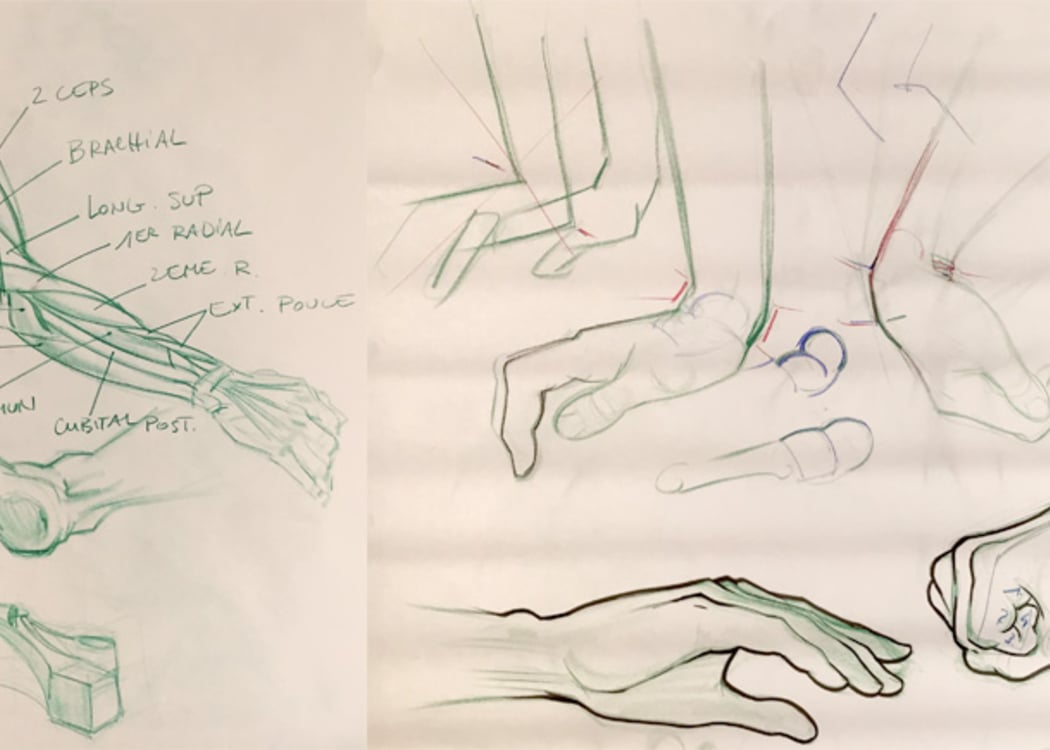 Dessin/Morphologie - Atelier 51 - Thomas Wienc