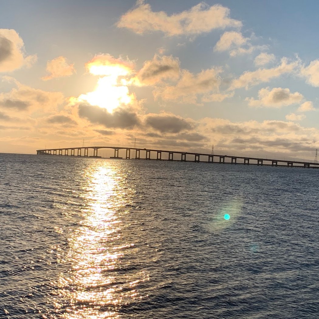 Bay Trail / Foster City 3