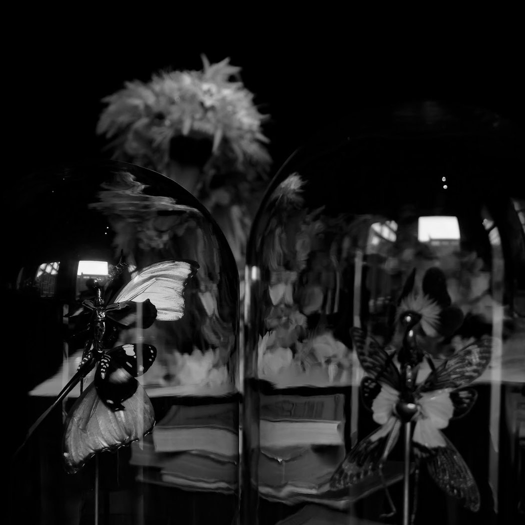 erlebe die Zwischenwelten von Cedric Laquieze im salon noir 2