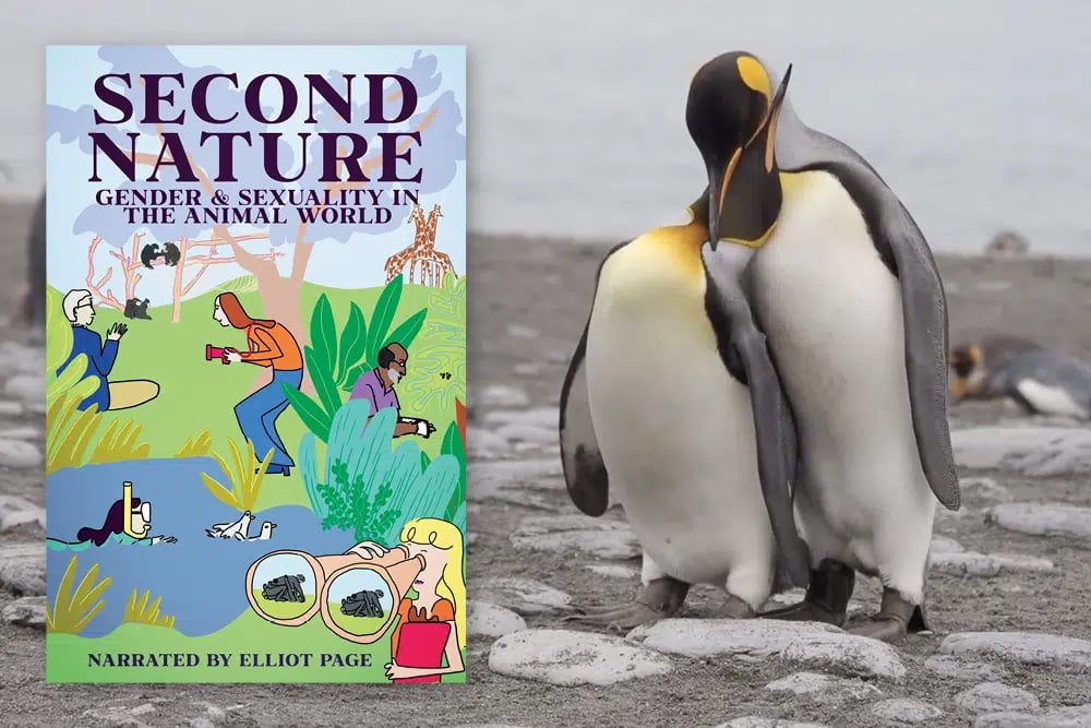 Second Nature 1