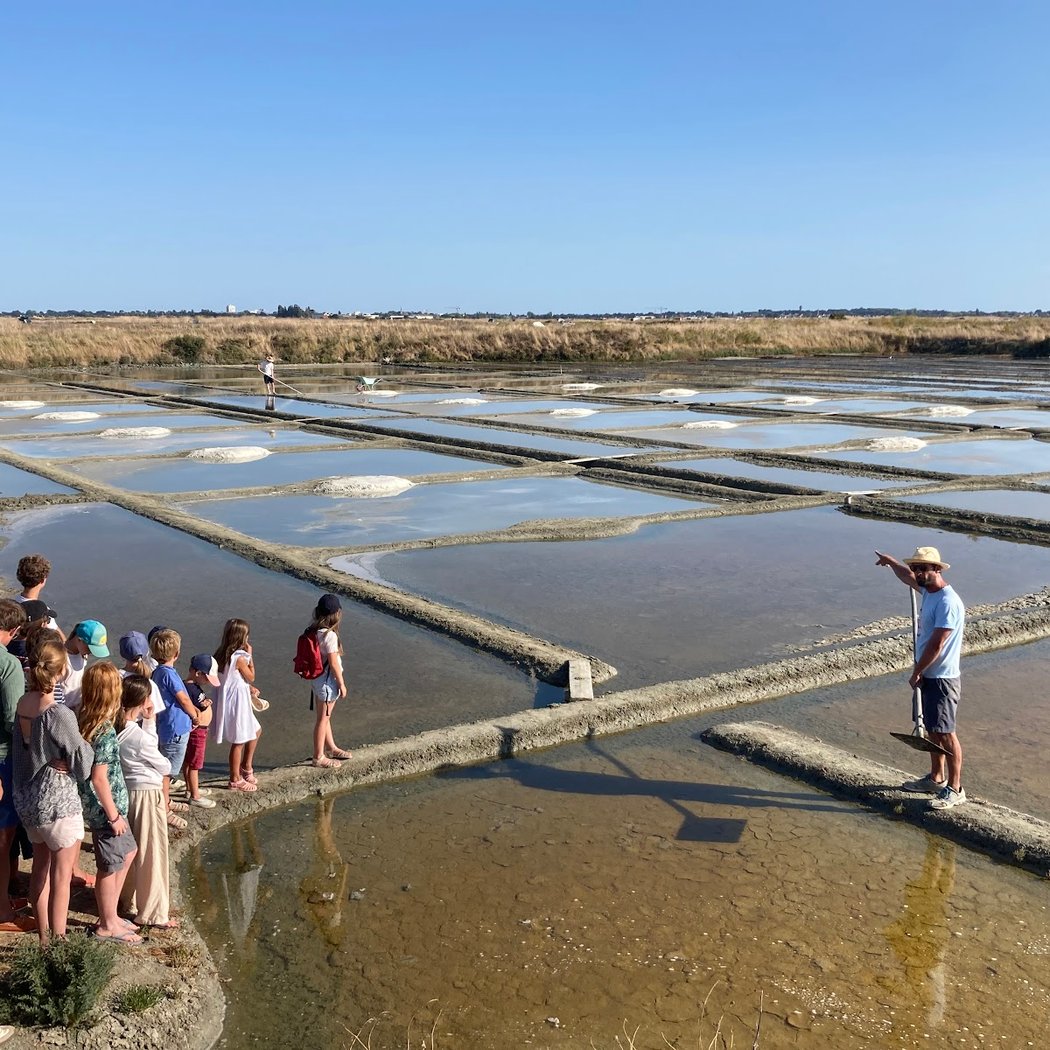 visites de marais salants par Paul Paludier à guérande 1